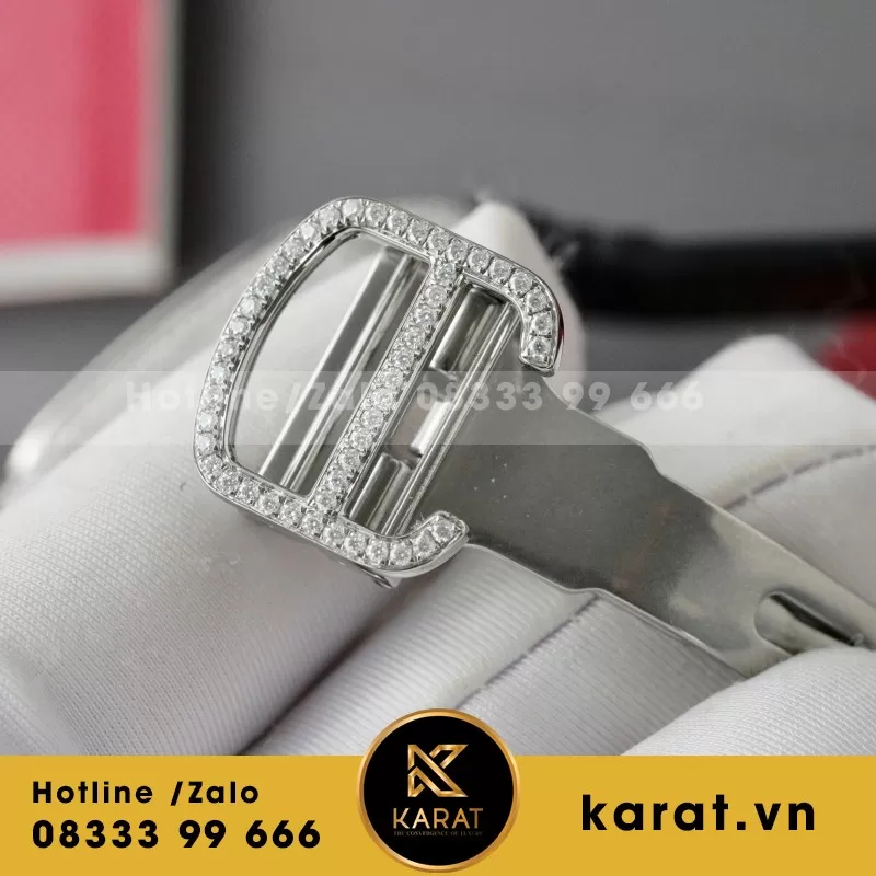 Đồng Hồ Cartier Santos Chế Tác Cọc Số + Vỏ Đính Kim Cương Moissanite 39.8mm - Ảnh 3