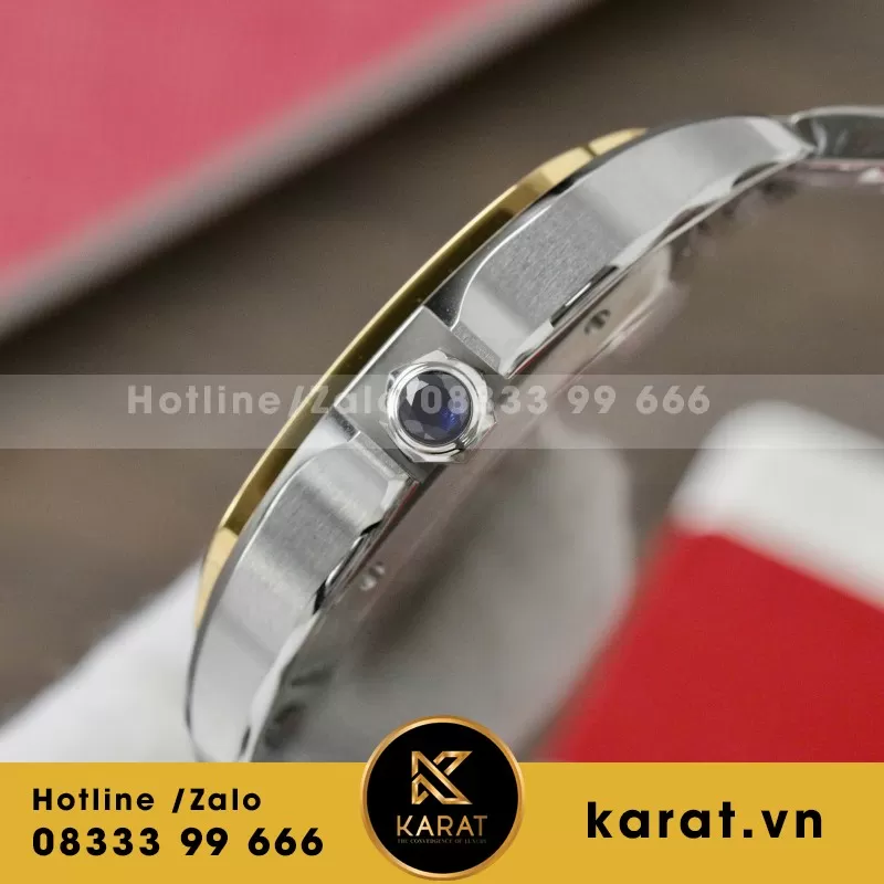 Đồng Hồ Cartier Santos Replica 1:1 Nữ Màu Demi Nhà Máy BV 39.8mm - Ảnh 6