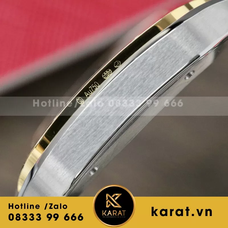 Đồng Hồ Cartier Santos Replica 1:1 Nữ Màu Demi Nhà Máy BV 39.8mm - Ảnh 5