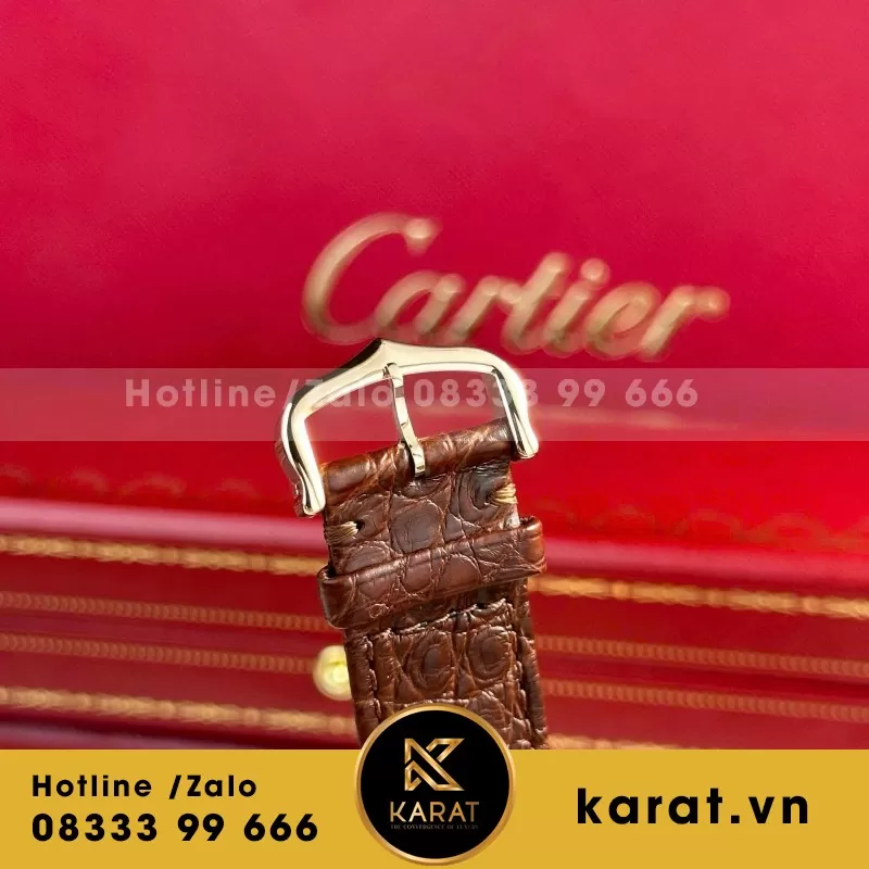 Đồng Hồ Cartier Tank Solo Extra-Large Model - Ảnh 8