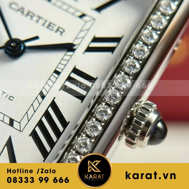 Đồng Hồ Cartier Tank Solo Extra-Large Model - Ảnh 9