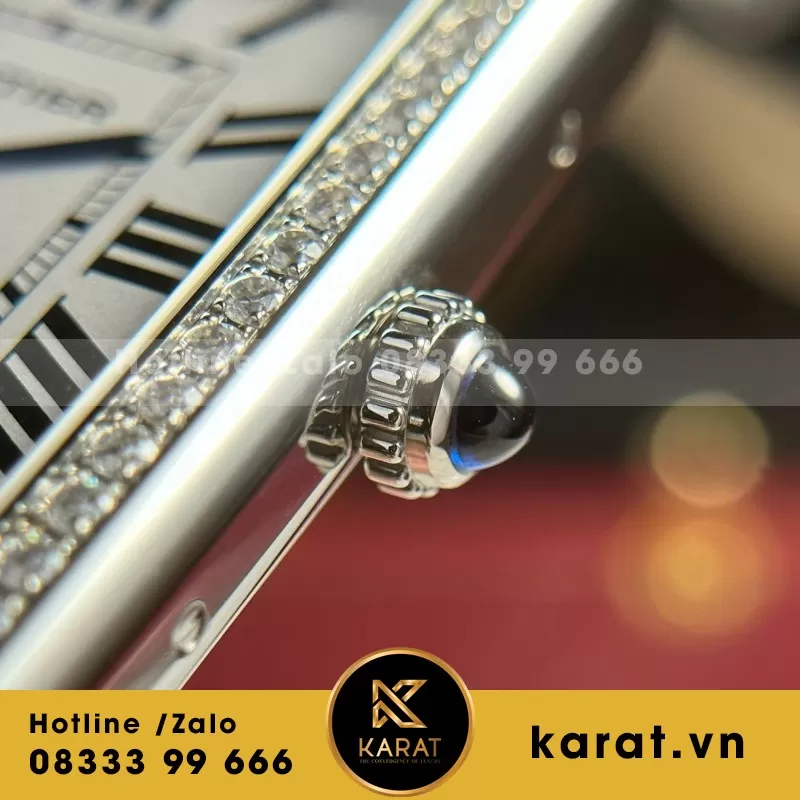 Đồng Hồ Cartier Tank Solo Extra-Large Model - Ảnh 4