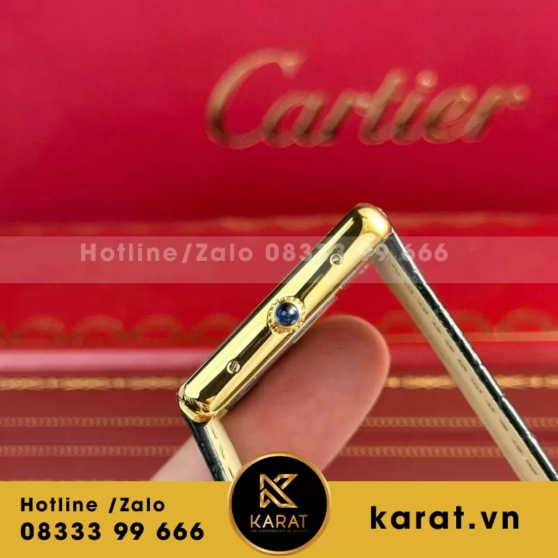 Đồng hồ Cartier Tank Solo Large Model— size 27.5mm x 35mm - Ảnh 10
