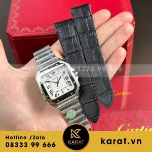 Bộ Sưu Tập Đồng Hồ Cartier Rep 11 Santos WSSA0061 BVF 39.8mm