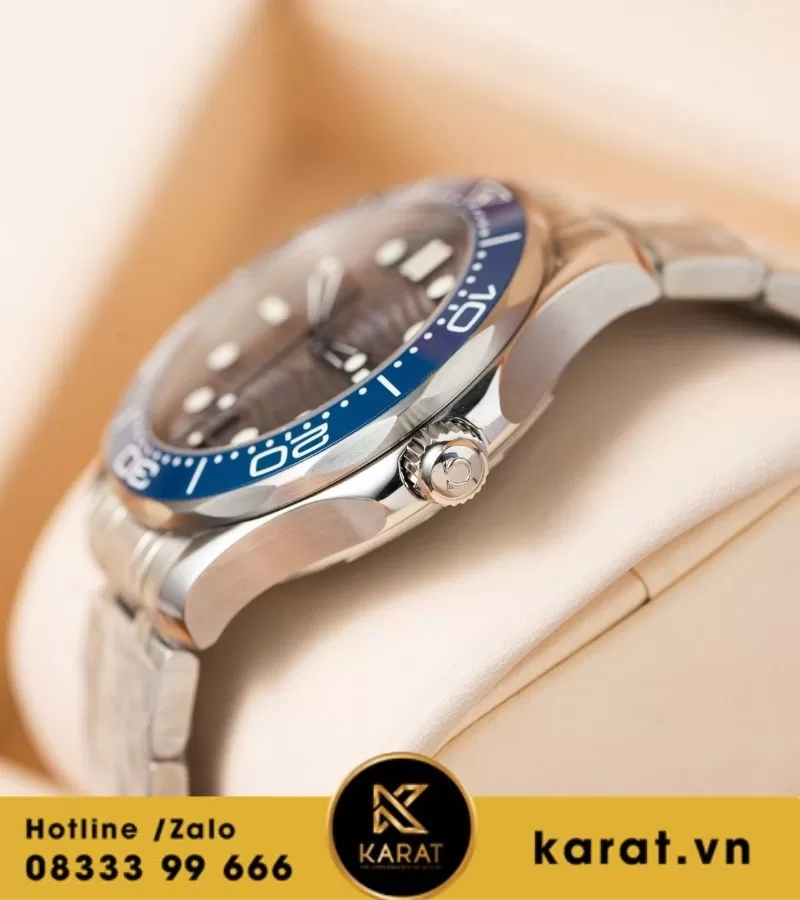 Omega Seamaster Diver 300m 42mm vs factory - Ảnh 7